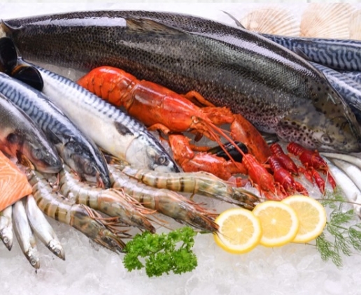 魚・海鮮類