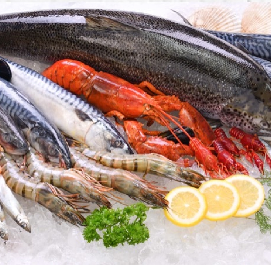 魚・海鮮類